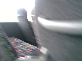 bus public